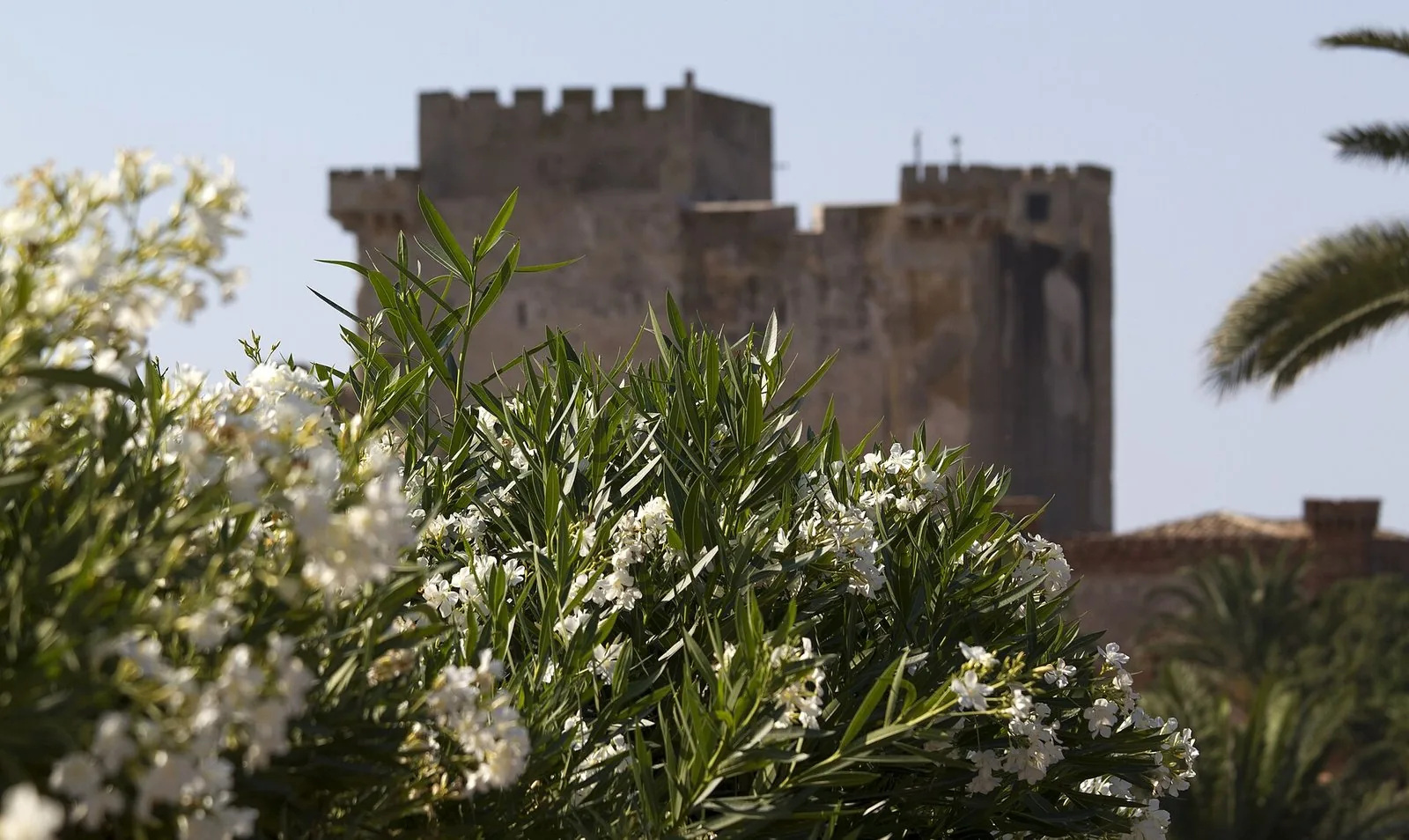 Antica torre di avvistamento su un promontorio roccioso affacciato sul mare